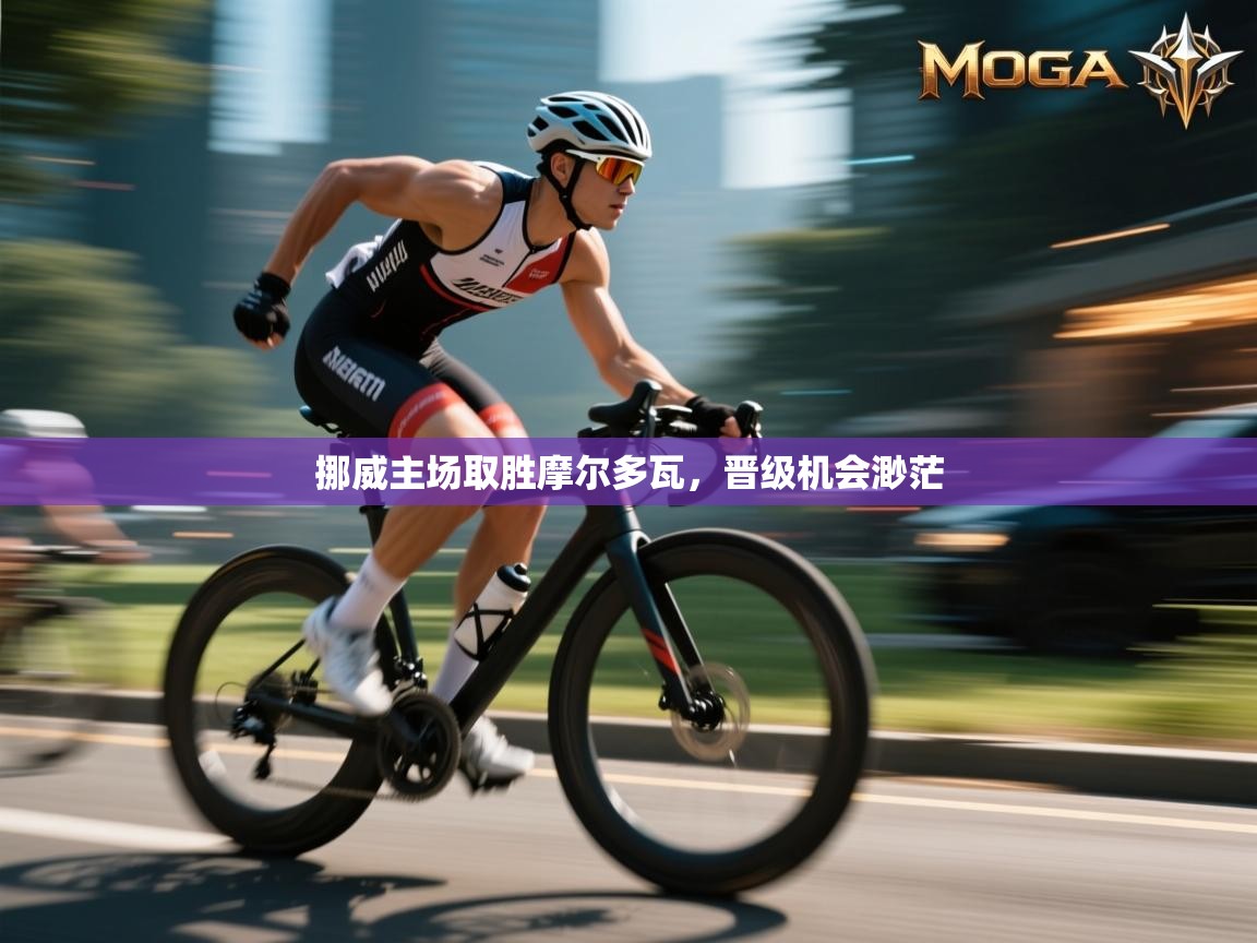 挪威主场取胜摩尔多瓦,晋级机会渺茫