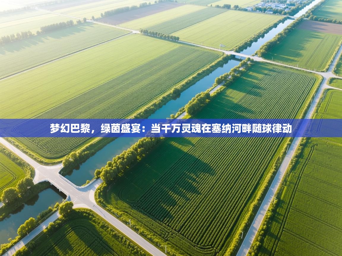 梦幻巴黎，绿茵盛宴：当千万灵魂在塞纳河畔随球律动